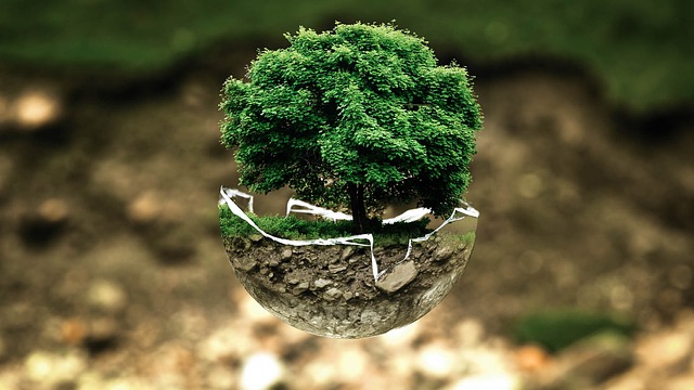 Developing Sharia of ESG